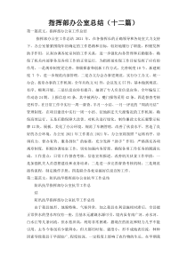 指挥部办公室总结（十二篇）