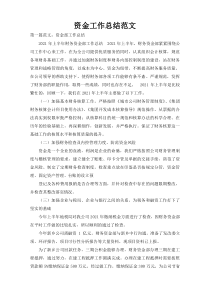 资金工作总结范文