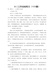 小二工作总结范文（十六篇）