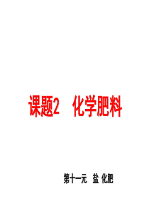 【课件】11.2化学肥料