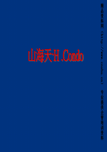 三亚山海天项目营销提案(77ppt)