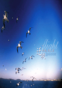 三亚清平乐项目（老年住宅）广告推广提案_106P