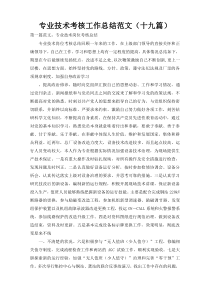 专业技术考核工作总结范文（十九篇）