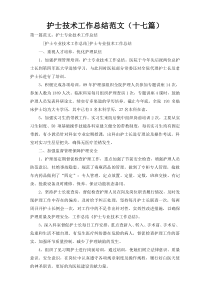 护士技术工作总结范文（十七篇）