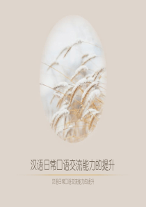 汉语日常口语交流能力的提升