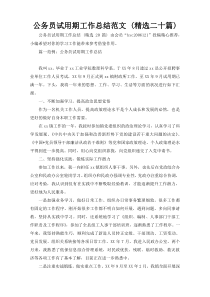 公务员试用期工作总结范文 (精选二十篇)