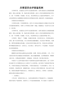 共青团员自评借鉴范例