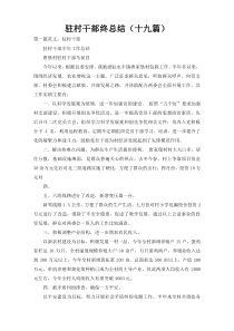 驻村干部终总结（十九篇）