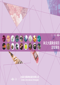 上海高力和义大道商业项目总体定位报告_316页