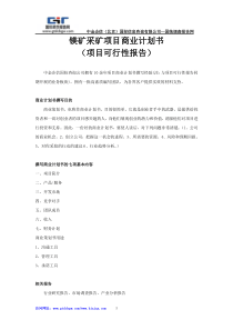 镁矿采矿项目商业计划书