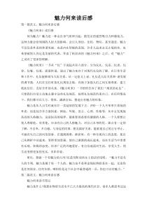 魅力何来读后感