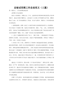 总秘试用期工作总结范文（三篇）