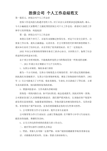 担保公司 个人工作总结范文