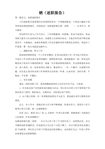 销（述职报告）