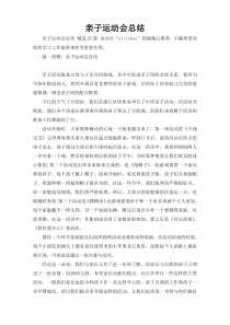 亲子运动会总结