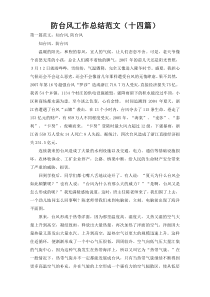 防台风工作总结范文（十四篇）