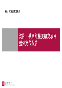 世联_沈阳铁西红星美凯龙商业项目整体定位报告_151PPT_XXXX年