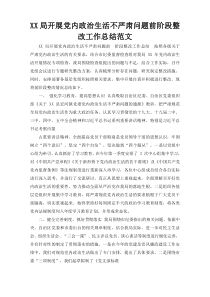 XX局开展党内政治生活不严肃问题前阶段整改工作总结范文