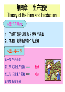 生产理论与生产函数