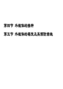 外植体2