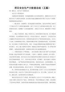 项目安全生产大检查总结（五篇）