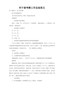 村干部考察工作总结范文