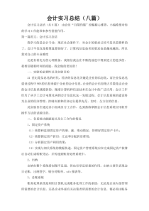 会计实习总结（八篇）