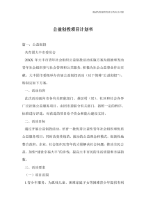 公益创投项目计划书