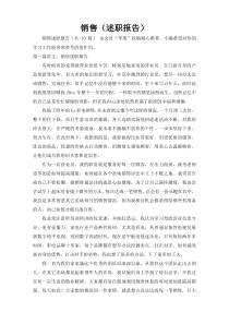 销售（述职报告）13