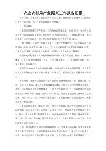 农业农村局产业振兴工作报告汇报