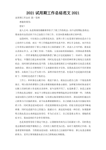 2021试用期工作总结范文2021