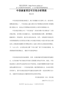 中信泰富项目可行性分析简报(doc)