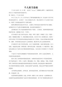 个人实习总结_116