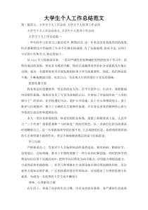 大学生个人工作总结范文