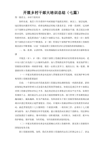 开展乡村干部大培训总结（七篇）