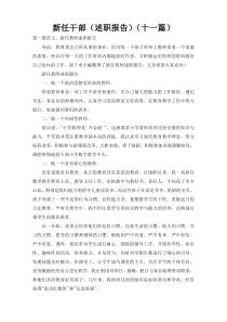 新任干部（述职报告）（十一篇）