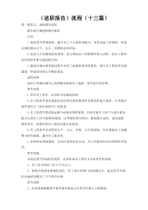（述职报告）流程（十三篇）