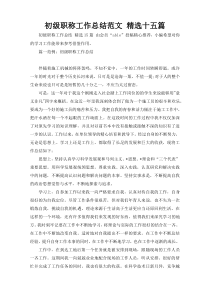 初级职称工作总结范文 精选十五篇