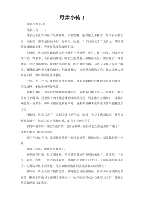 母亲小传1