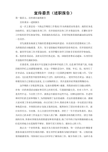 宣传委员（述职报告）