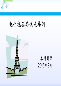 电子税务局培训
