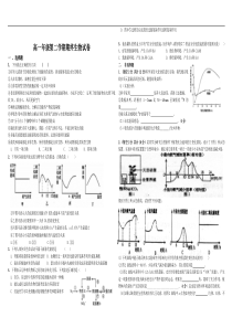 高一年级第二学期期终生物试卷