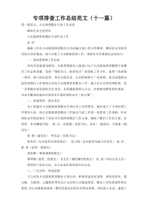 专项排查工作总结范文（十一篇）