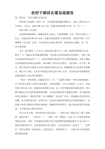 农村干部回头看总结报告
