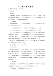 支行长（述职报告）
