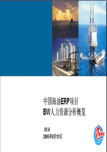 中国海油总部HR项目_有很多报表