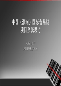 中国漯河国际食品城项目系统思考