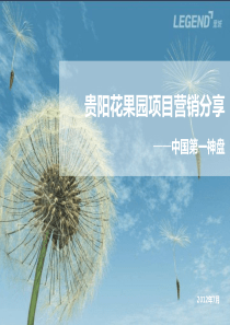 中国第一神盘——贵阳花果园项目营销分享1719312939