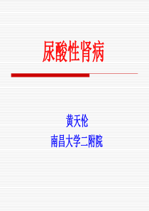 尿酸性肾病(医学PPT课件)