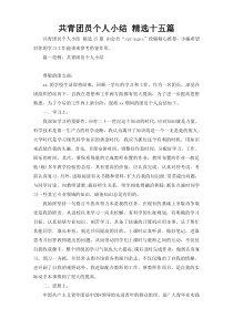 共青团员个人小结 精选十五篇